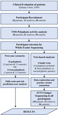 Neurophysiological and Genetic Findings in Patients With Juvenile Myoclonic Epilepsy